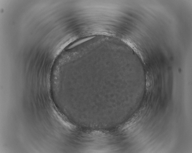 X0000088460390200706121509