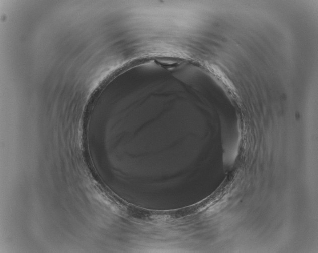 X0000088460391200706121509