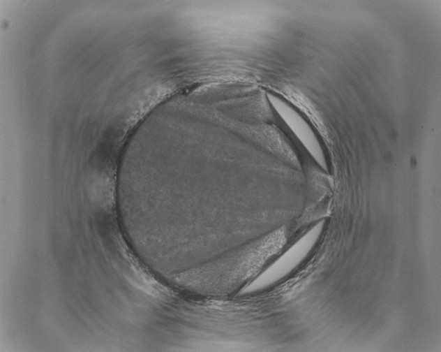 X0000088460393200706121509