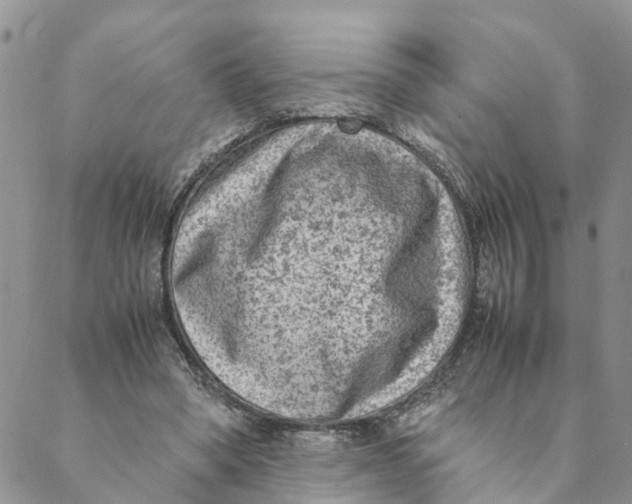 X0000088460394200706121509