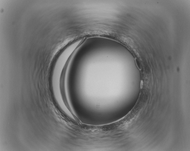 X0000088460395200706121509