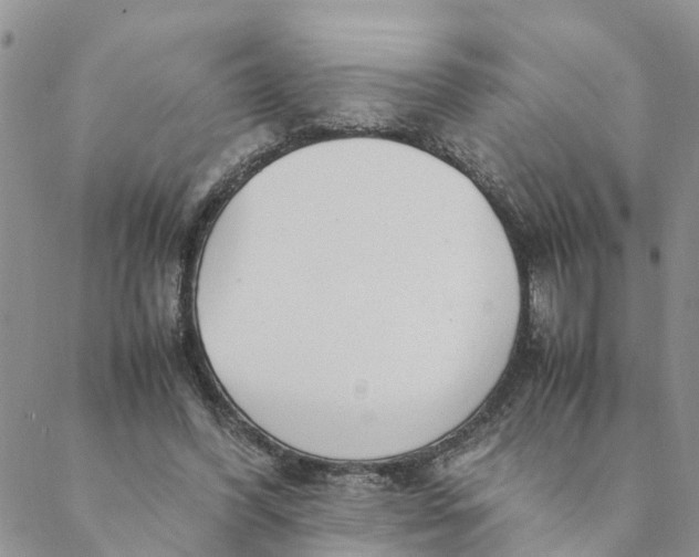 X0000088460396200706121509