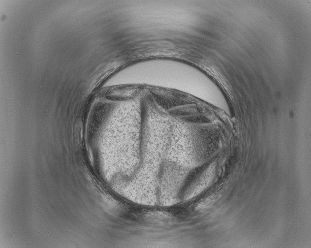 X0000088460397200706121509