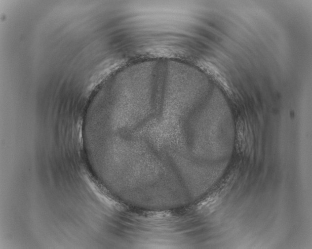 X0000088460398200706121509