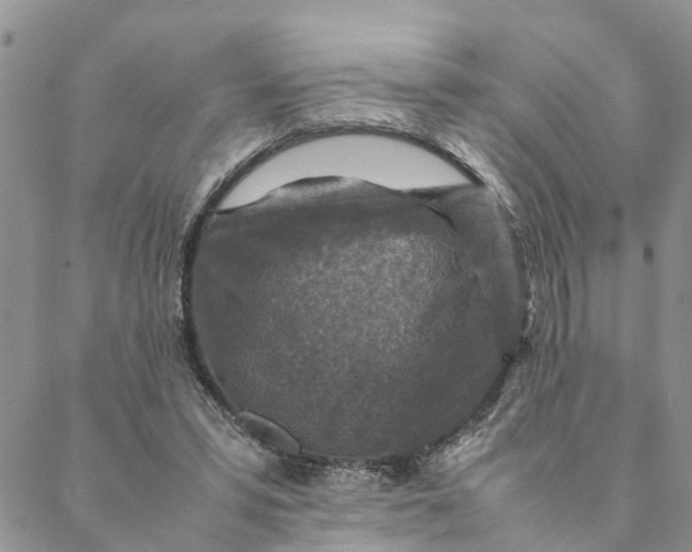 X0000088460399200706121509