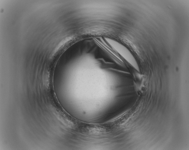 X0000088460400200706121509