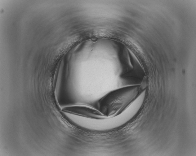 X0000088460401200706121509