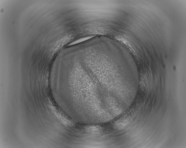 X0000088460402200706121509