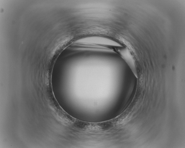 X0000088460403200706121509