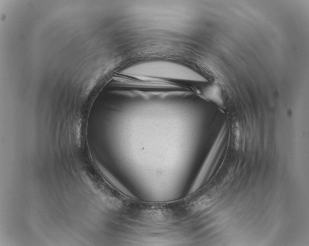 X0000088460404200706121509