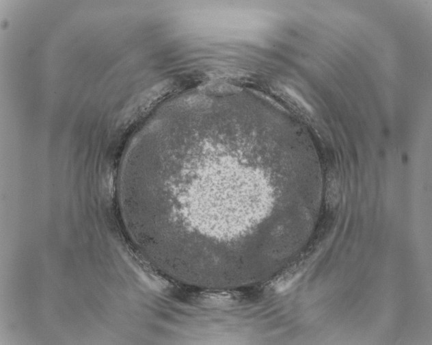 X0000088460405200706121509