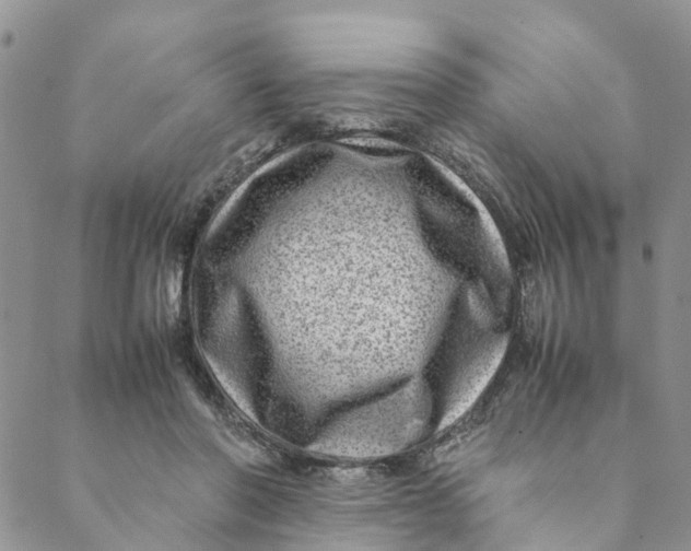 X0000088460406200706121509