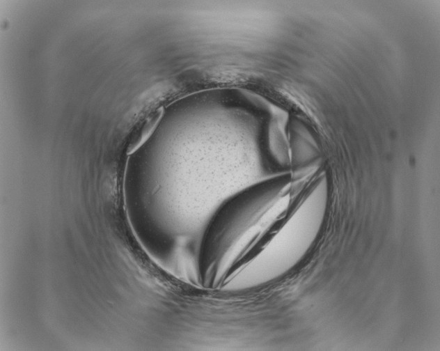 X0000088460407200706121509