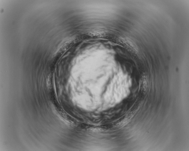 X0000088460408200706121509