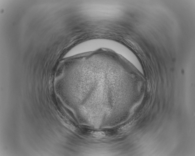 X0000088460409200706121509