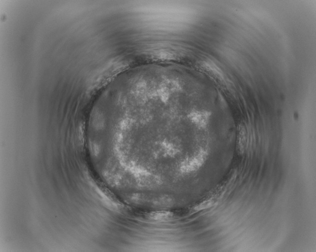 X0000088460410200706121509