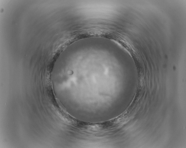 X0000088460411200706121509