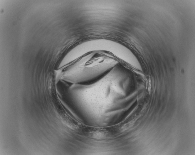 X0000088460412200706121509