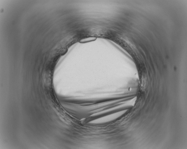 X0000088460413200706121509