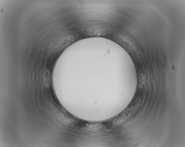 X0000088460414200706121509