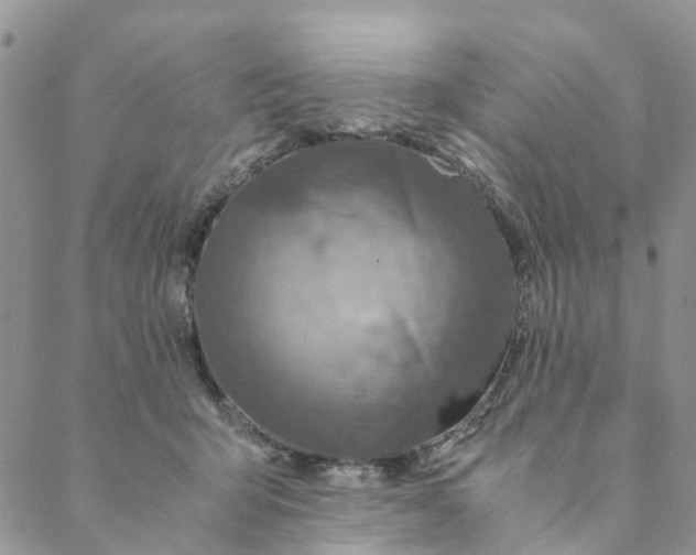 X0000088460415200706121509