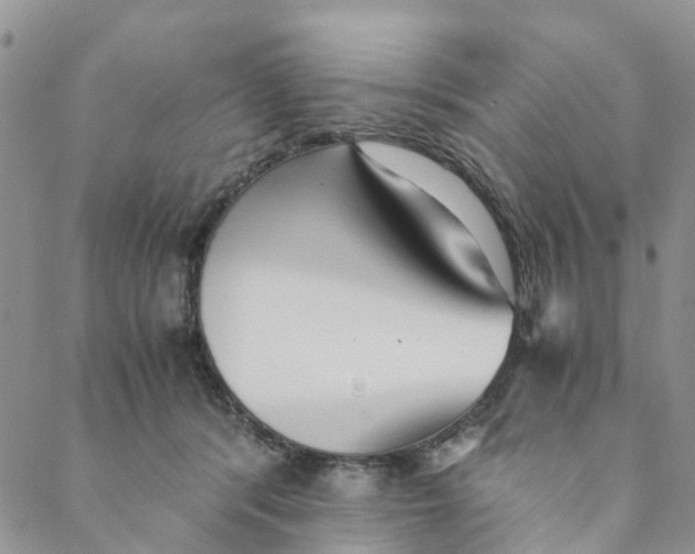 X0000088460416200706121509