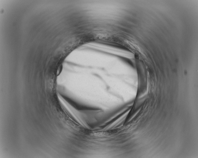 X0000088460417200706121509