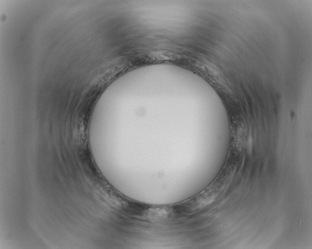 X0000088460418200706121509