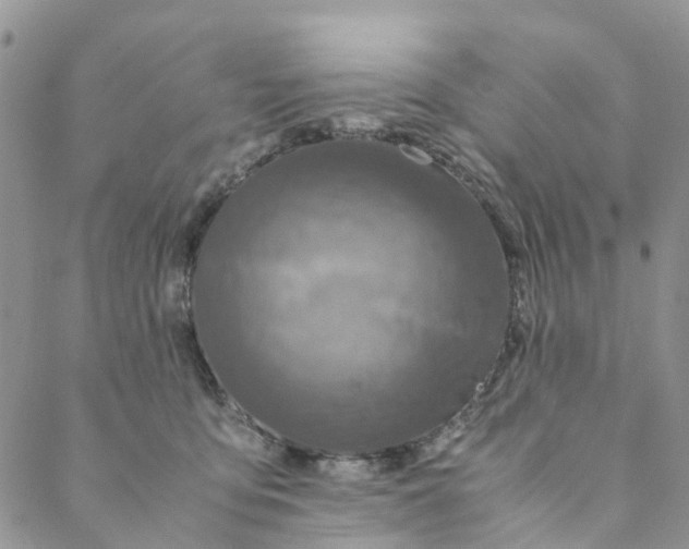 X0000088460419200706121509