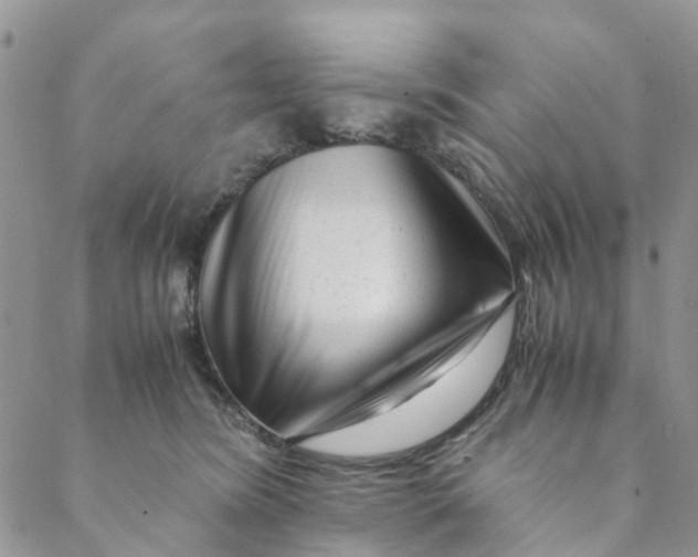 X0000088460420200706121509