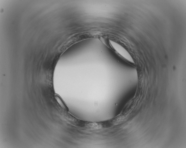 X0000088460421200706121509