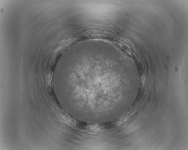 X0000088460423200706121509