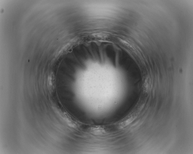 X0000088460424200706121509