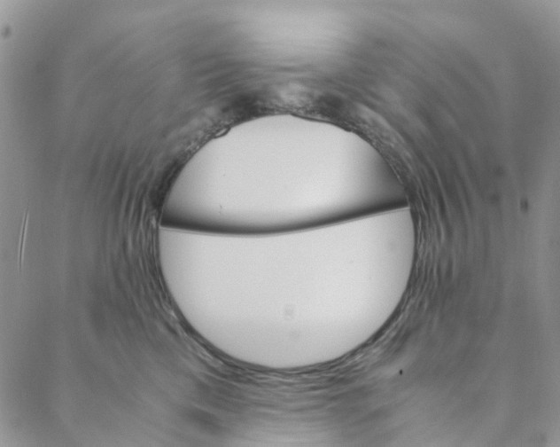 X0000088460425200706121509