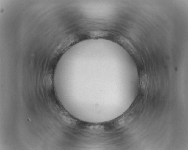 X0000088460426200706121509