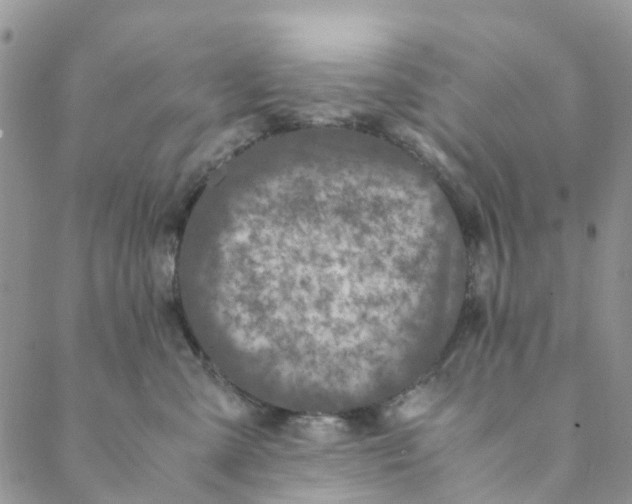 X0000088460427200706121509