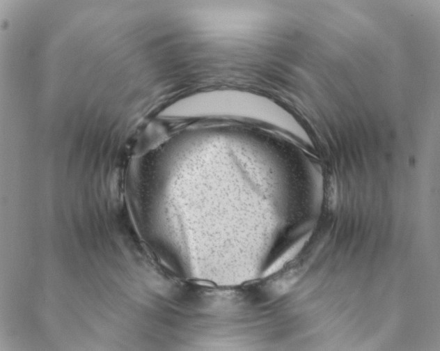 X0000088460428200706121509