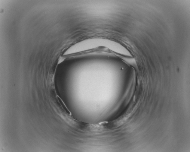 X0000088460429200706121509