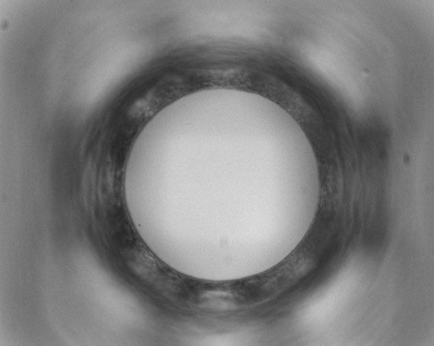 X0000088460430200706121509