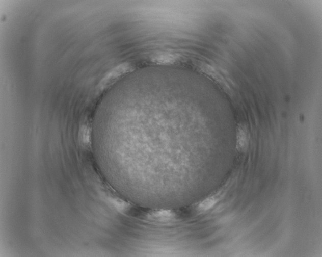 X0000088460431200706121509