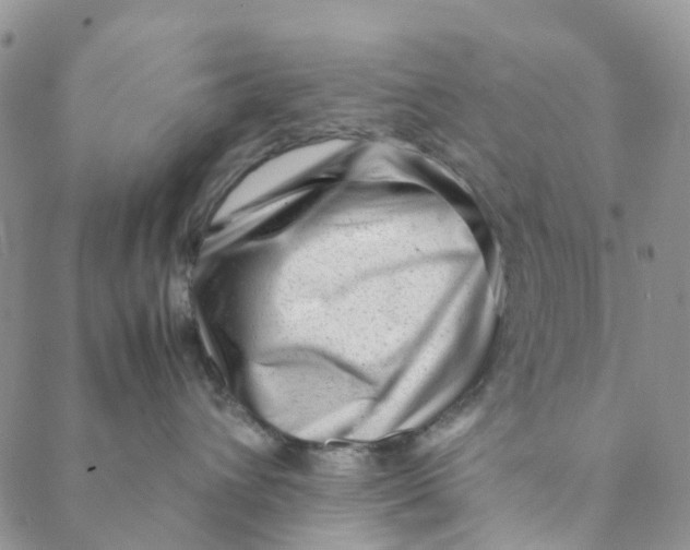 X0000088460432200706121509