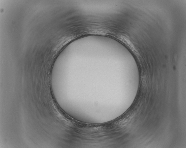 X0000088460433200706121508