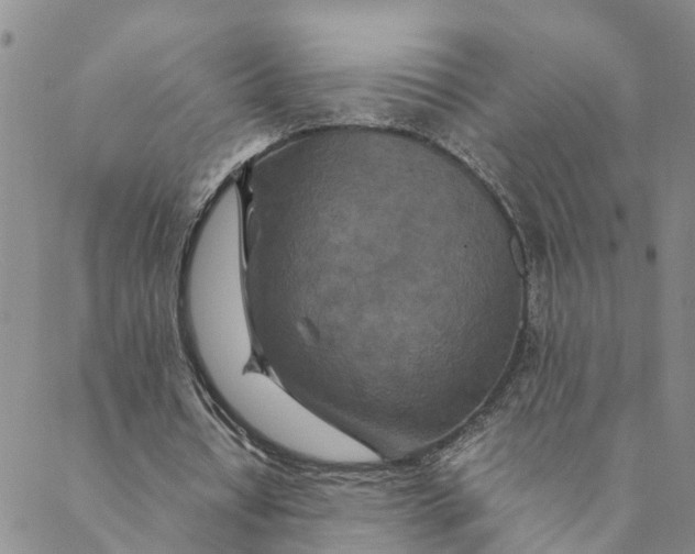 X0000088460434200706121508