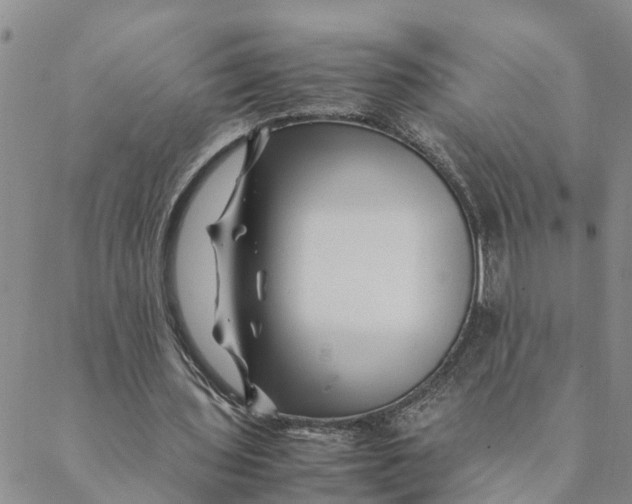 X0000088460435200706121508