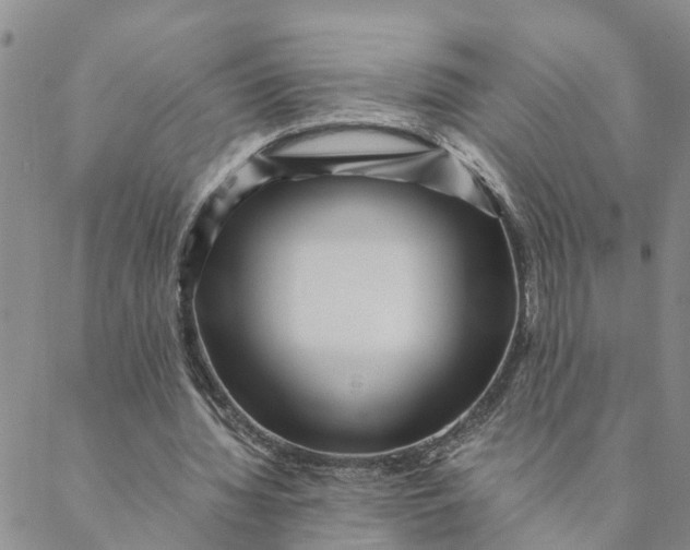 X0000088460436200706121508