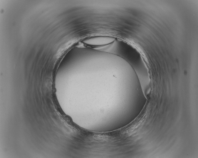 X0000088460437200706121508