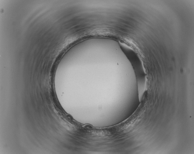 X0000088460439200706121508