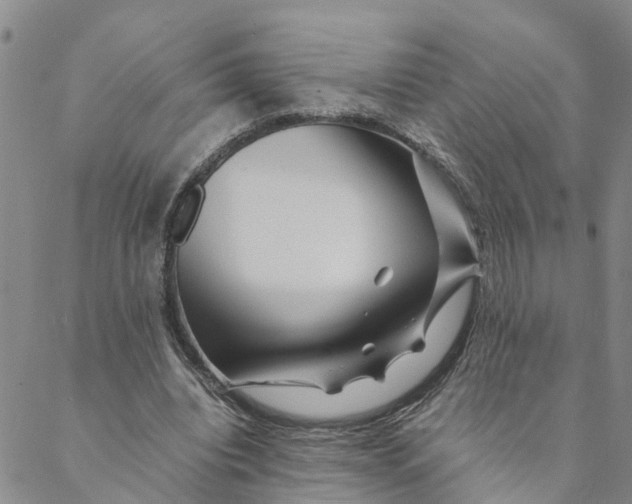 X0000088460440200706121508