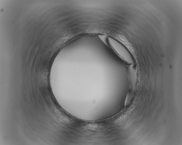 X0000088460441200706121508