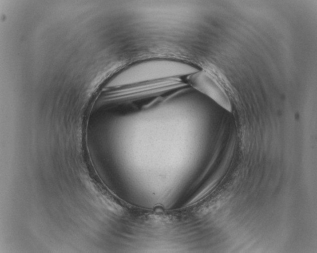 X0000088460442200706121508